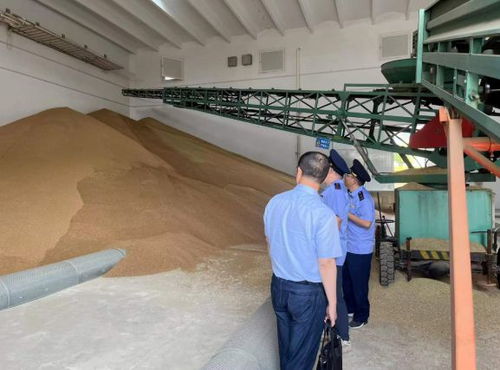 違規(guī)收購糧食被罰10萬元，南京公布一批典型案例加強(qiáng)糧食市場管理