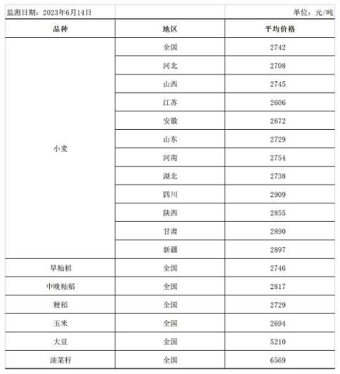 糧食市場迎來新發(fā)展趨勢，中方呼吁完善全球糧農(nóng)治理體系